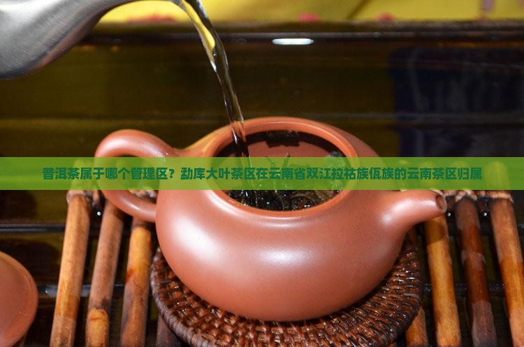 勐库普洱茶属于哪个茶区管理