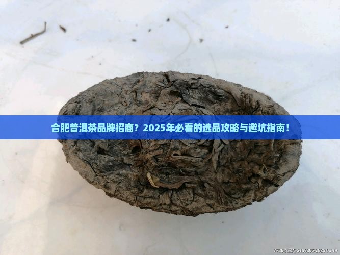 合肥普洱茶品牌招商