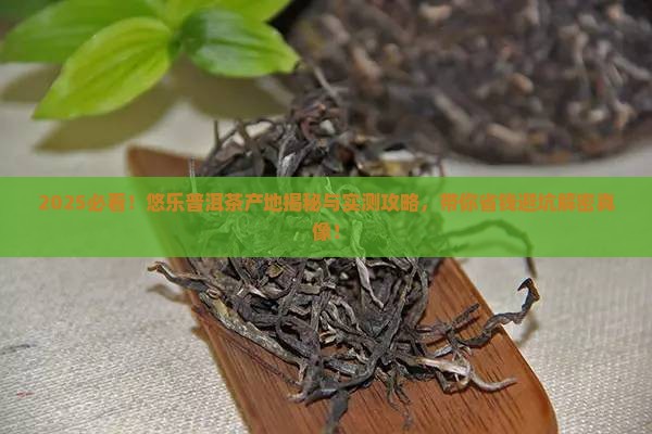 悠乐普洱茶产地
