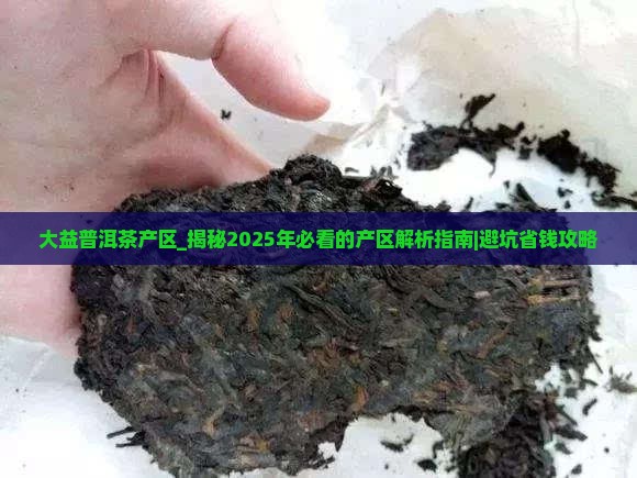 大益普洱茶产区