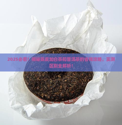 陈皮加白茶和普洱茶的区别