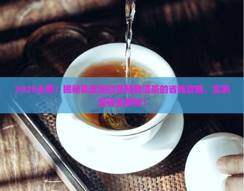 陈皮加白茶和普洱茶的区别