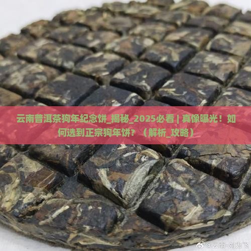云南普洱茶狗年纪念饼