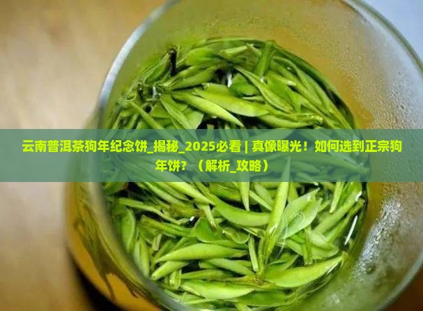 云南普洱茶狗年纪念饼