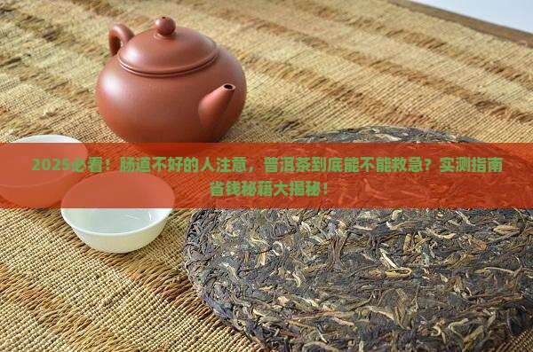 普洱茶改善肠道功能不好
