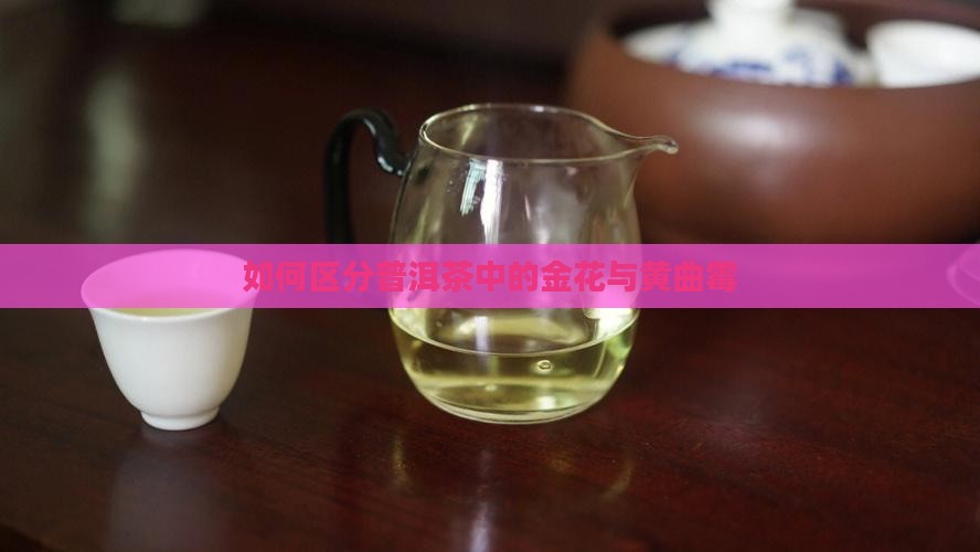 普洱茶黄曲霉菌怎么区分