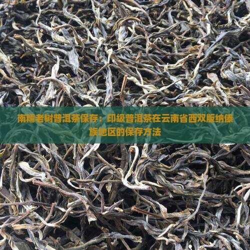 南糯老树普洱茶保存