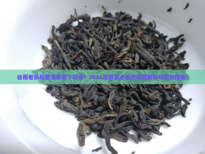 谷雨老茶和普洱茶哪个好点