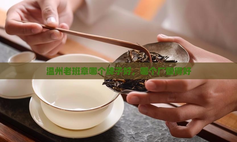 温州老班章哪个牌子好