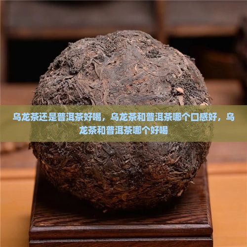 乌龙茶还是普洱茶好喝