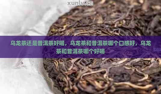 乌龙茶还是普洱茶好喝