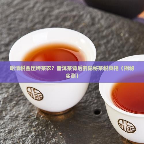 明清时期普洱茶的税金