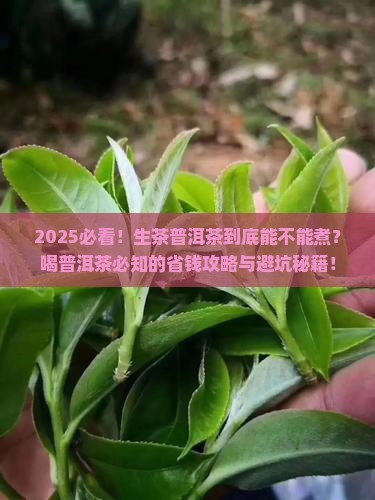 生茶普洱茶可以煮吗喝普洱茶要