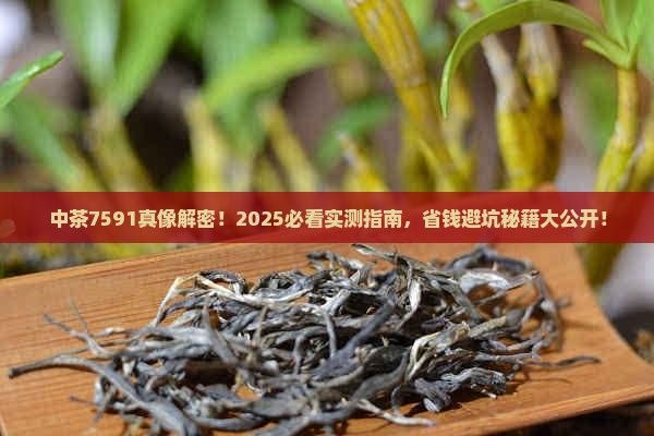 中茶7591什么意思
