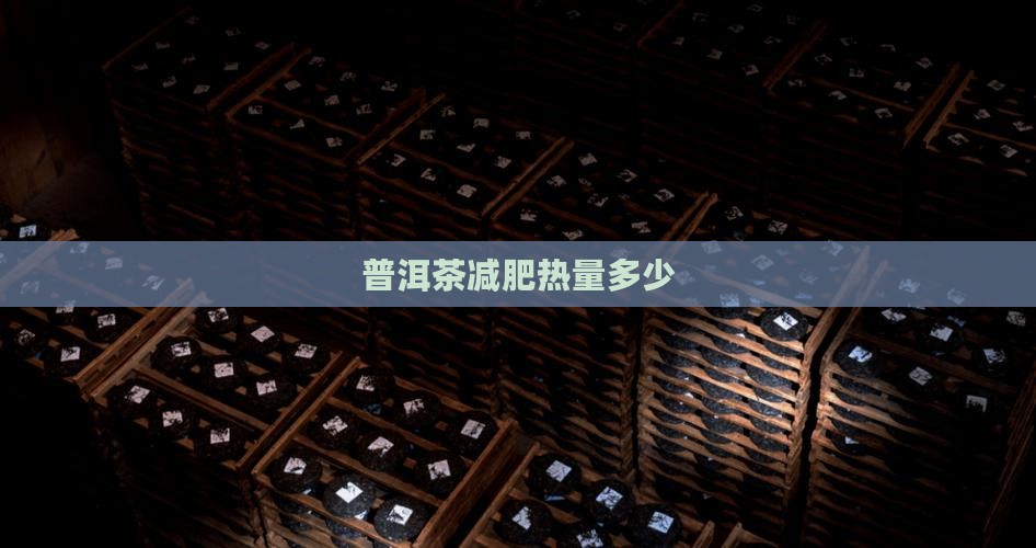 普洱茶叶茶热量