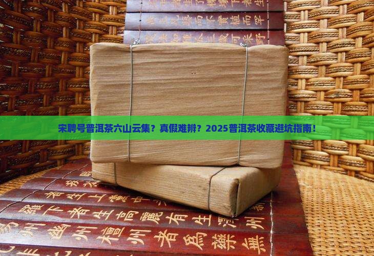 宋聘号普洱茶六山云集