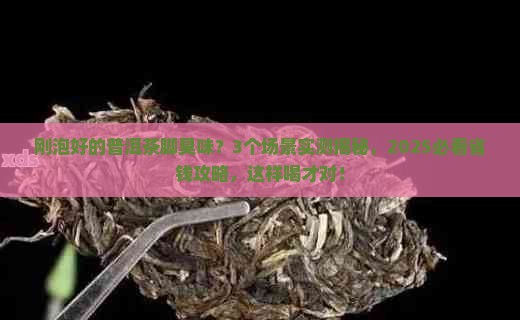 刚泡好的普洱茶脚臭味