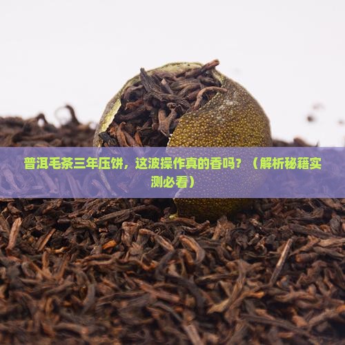 普洱毛茶三年压饼
