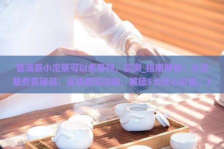 普洱茶小沱茶可以煮茶吗