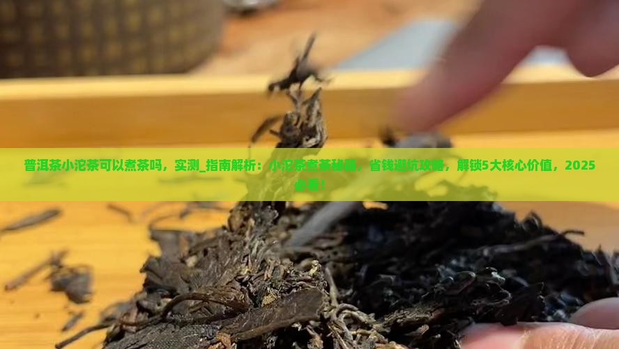 普洱茶小沱茶可以煮茶吗