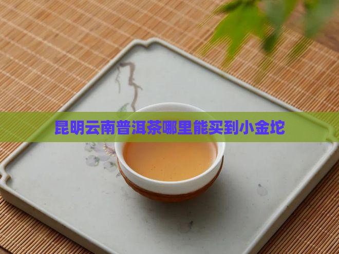 昆明哪里能买到小金坨普洱茶