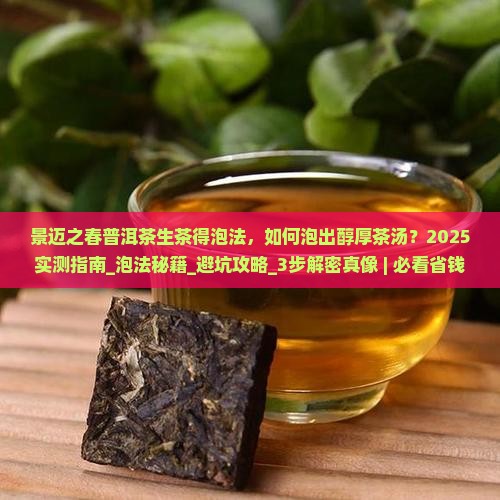 景迈之春普洱茶生茶得泡法