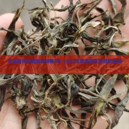 普洱茶国学原理