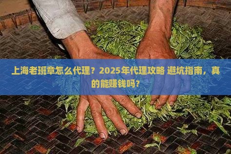 上海老班章怎么代理