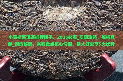 小青桔普洱茶推荐牌子