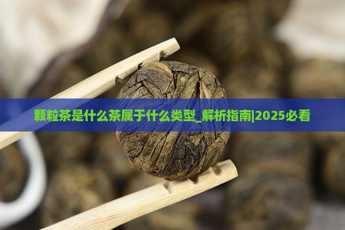 颗粒茶是什么茶属于什么类型