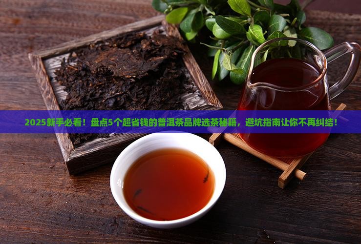 怎样选普洱茶品牌好的茶叶