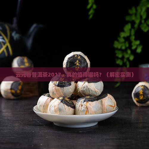 云元谷普洱茶2017