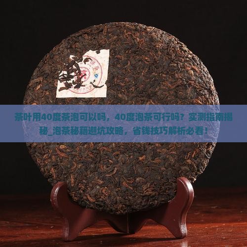 茶叶用40度茶泡可以吗
