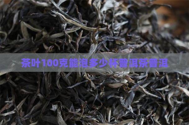 茶叶100克能泡多少杯