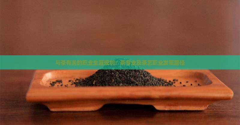 与茶有关的职业生涯规划