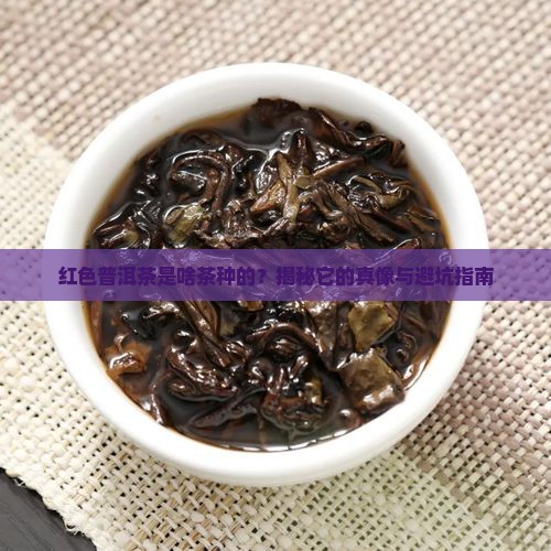 红色普洱茶是啥茶种的