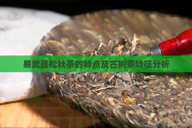 易武曼松秋茶的特点