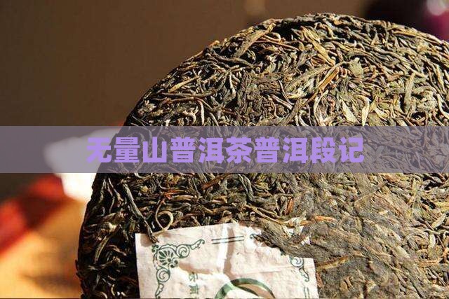 无量山段记普洱茶