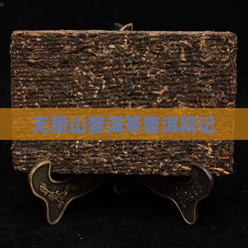 无量山段记普洱茶
