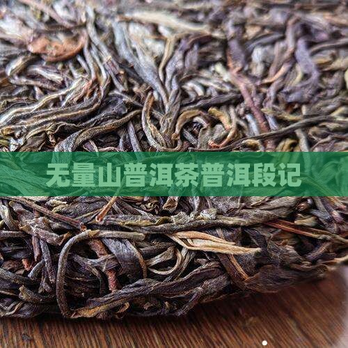无量山段记普洱茶