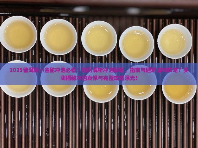 普洱茶小金砣冲泡