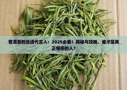 普洱茶的合适代言人