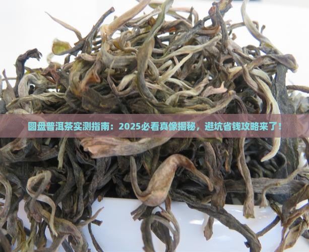 圆盘普洱茶怎么样