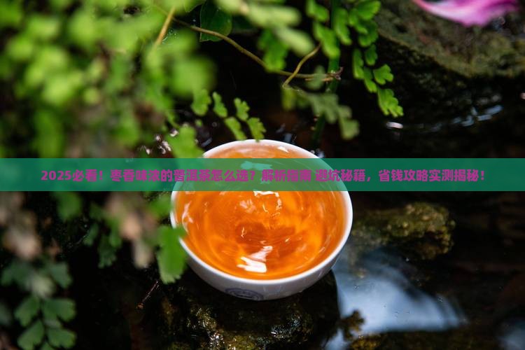 枣香味浓的普洱茶