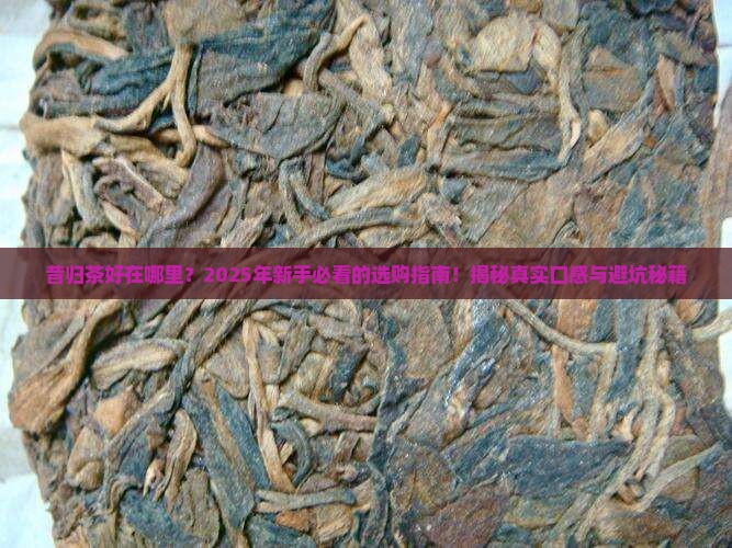 昔归茶好在哪里
