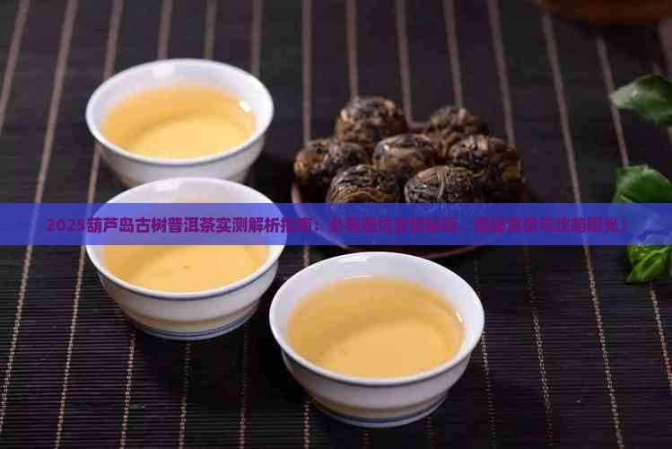 葫芦岛古树普洱茶