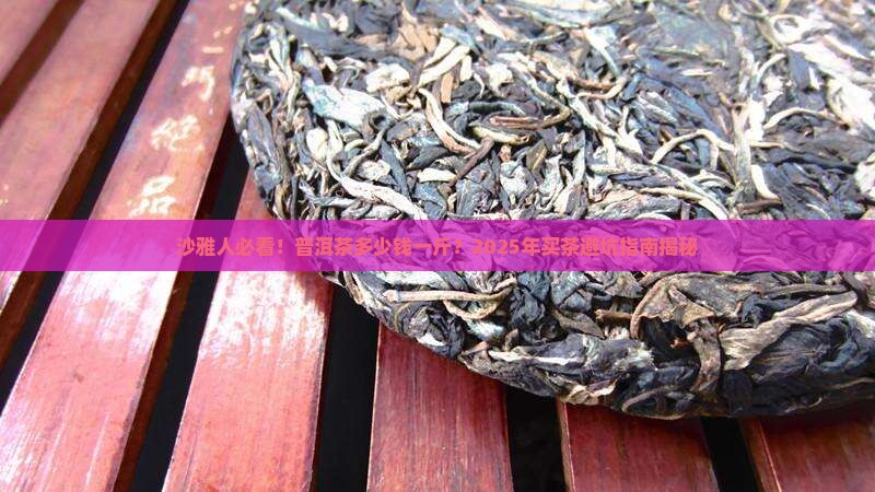 沙雅有普洱茶吗多少钱一斤