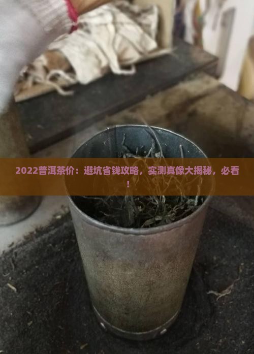 2022普洱茶价