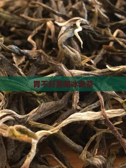胃不好可以喝冰岛茶