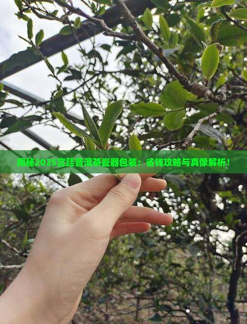 宫廷普洱茶瓷器包装